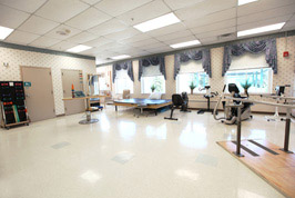 Rehabilitation Programs